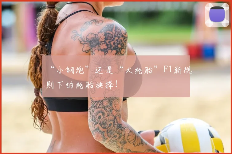 “小钢炮”还是“大轮胎”F1新规则下的轮胎抉择!