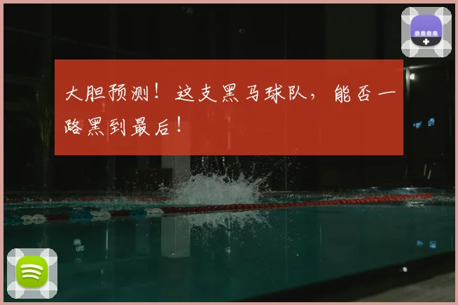 大胆预测！这支黑马球队，能否一路黑到最后！