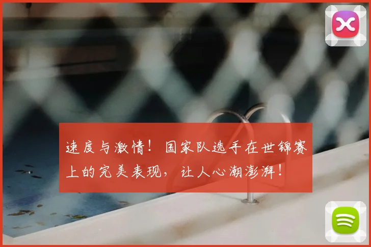 速度与激情！国家队选手在世锦赛上的完美表现，让人心潮澎湃！